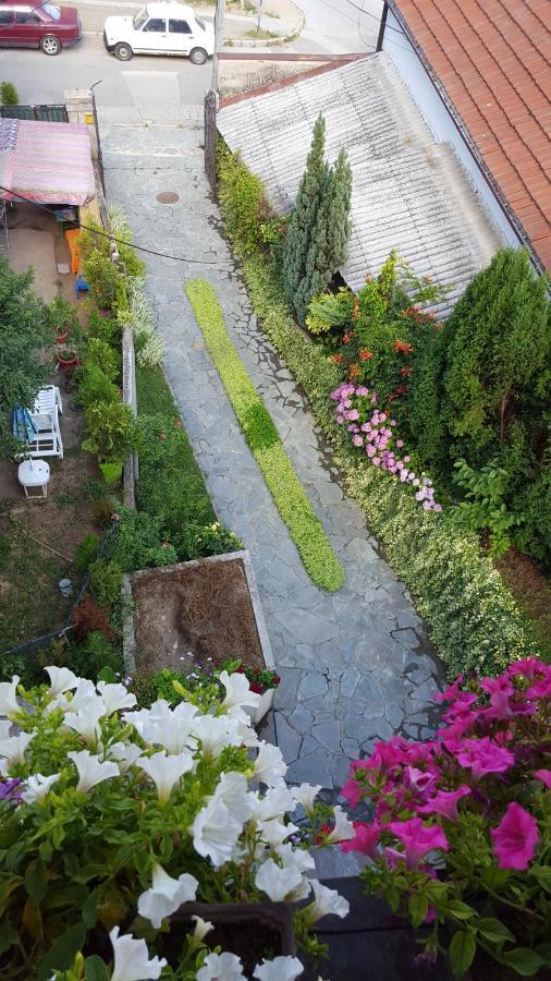 Vila Sentic Vranje Kültér fotó