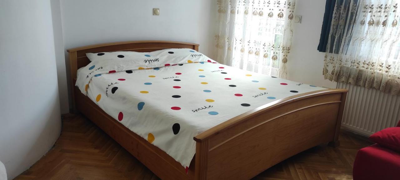Vila Sentic Vranje Kültér fotó