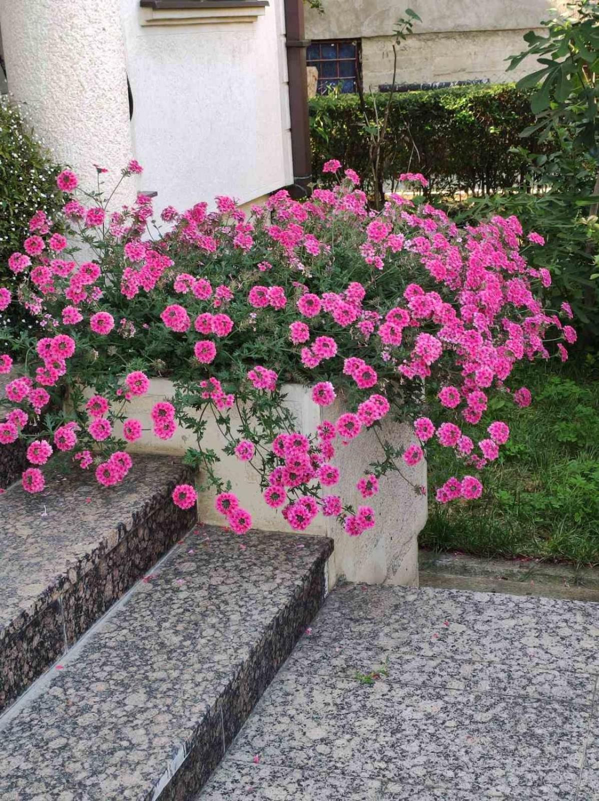 Vila Sentic Vranje Kültér fotó