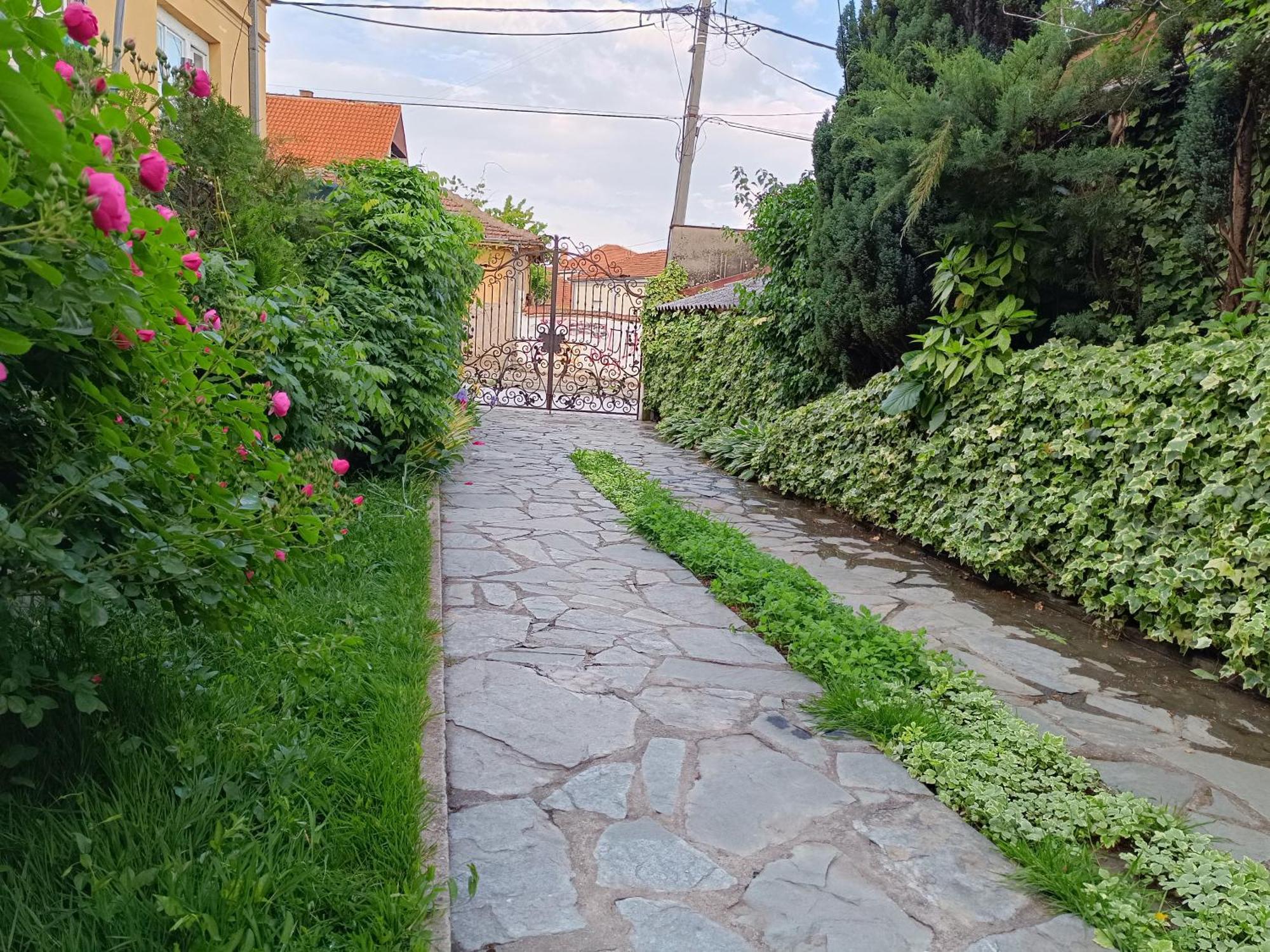 Vila Sentic Vranje Kültér fotó