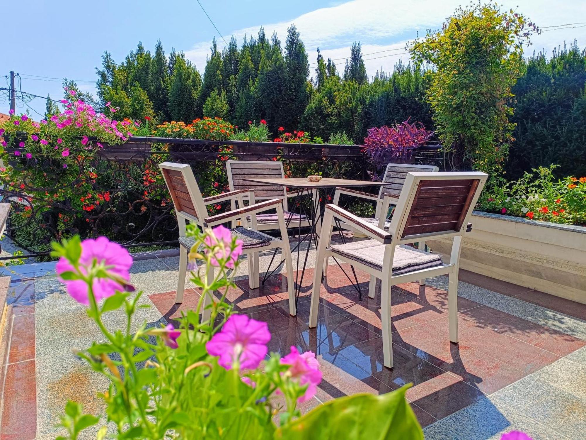 Vila Sentic Vranje Kültér fotó