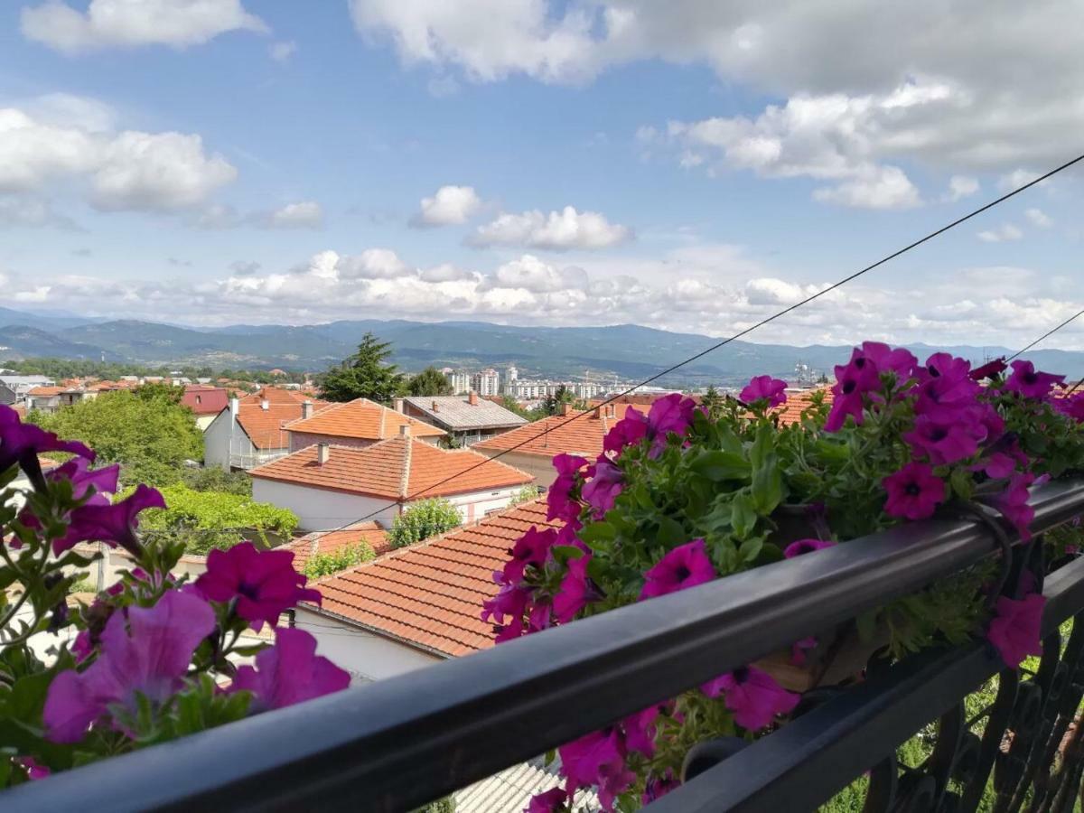 Vila Sentic Vranje Kültér fotó