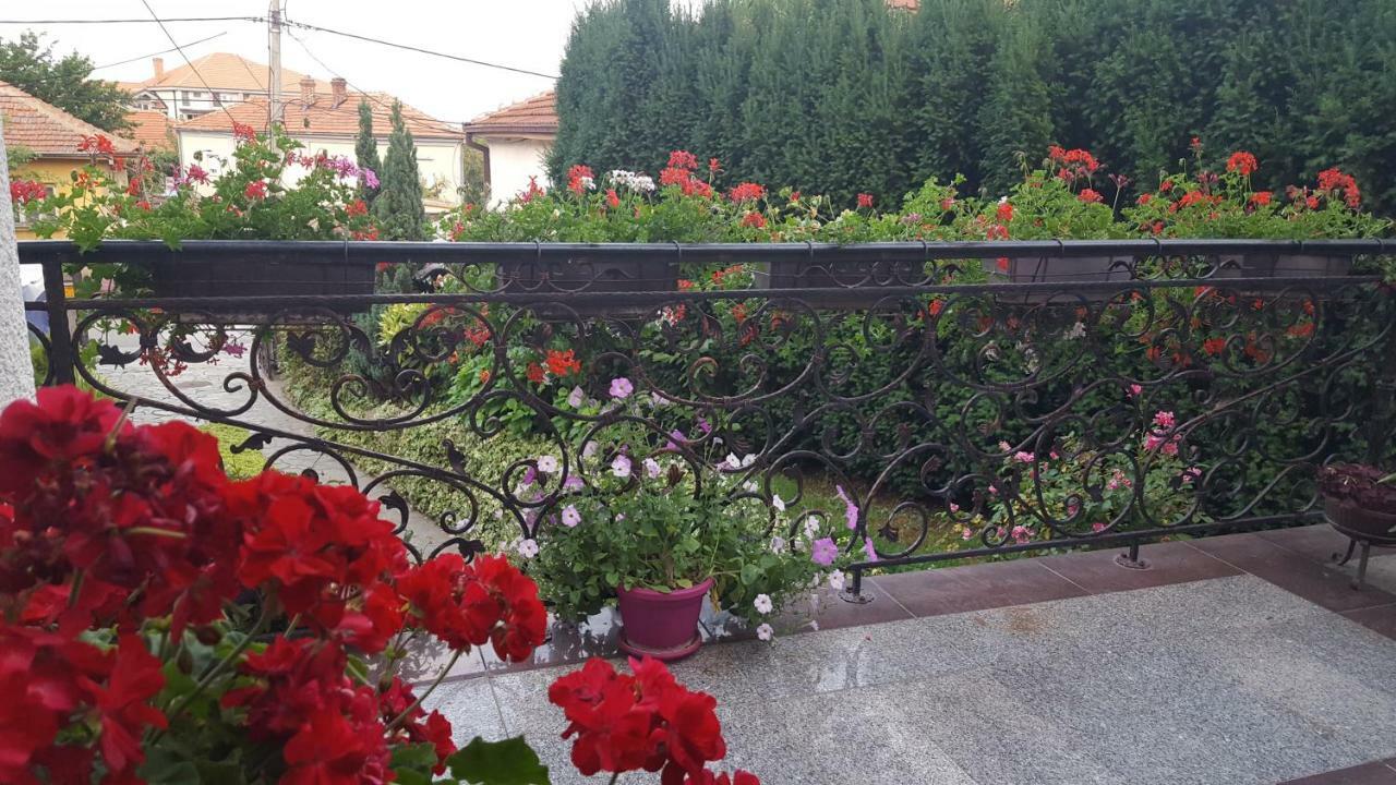 Vila Sentic Vranje Kültér fotó