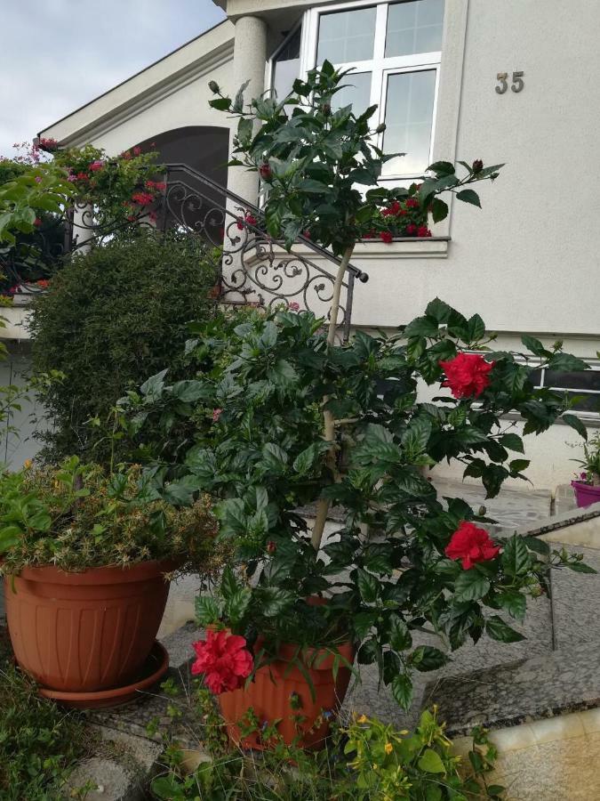 Vila Sentic Vranje Kültér fotó