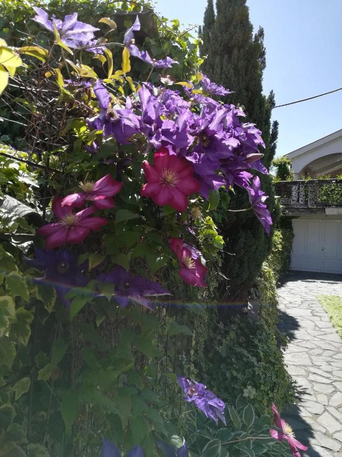 Vila Sentic Vranje Kültér fotó